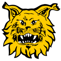 Ilves